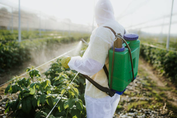 Best Pest Control Near Me  in Fort Lupton, CO